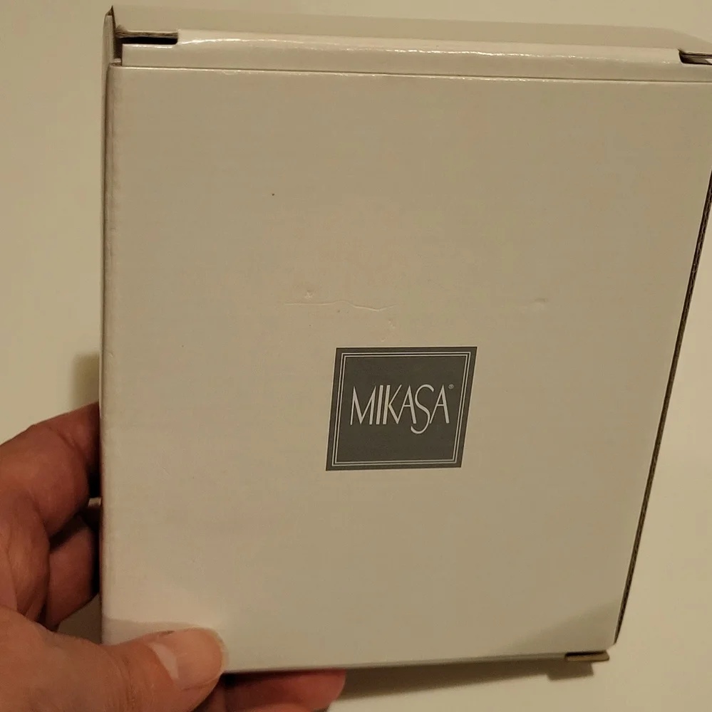 Mikasa Floral Frosted Glass Frame 2x3
